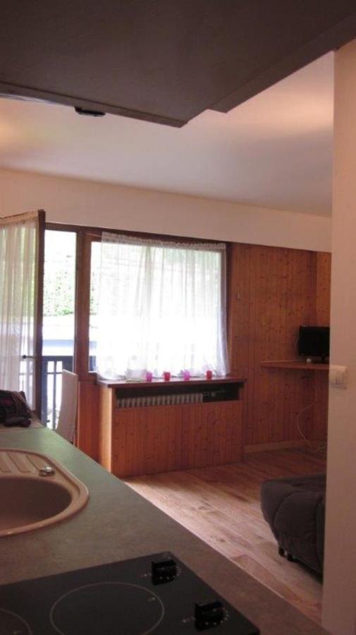 Studio With Balcony In Chamonix Apartment Bagian luar foto